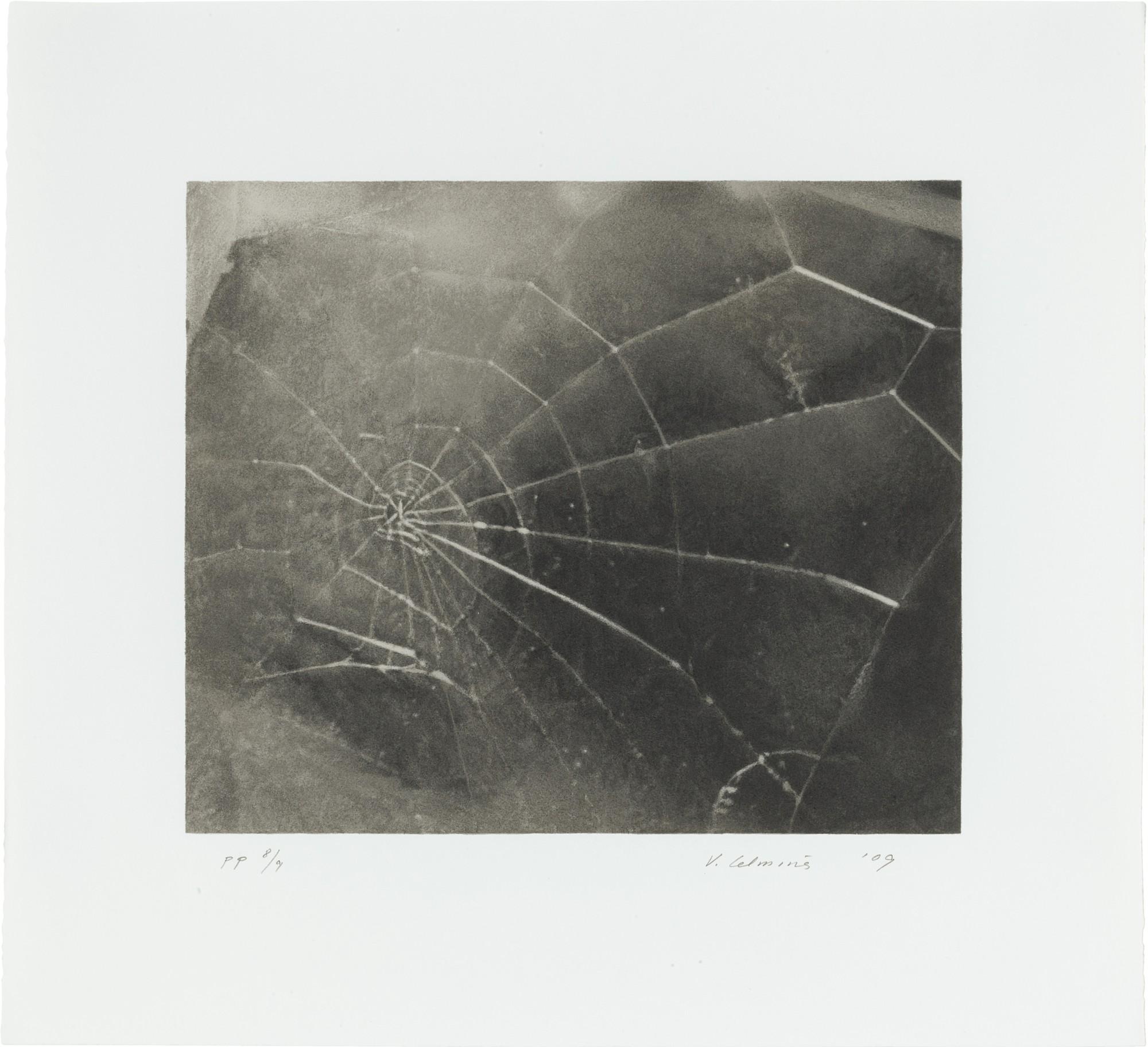 Vija Celmins - Spider Web