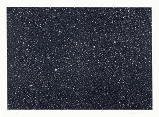 Vija Celmins - Starfield