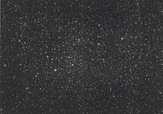Vija Celmins - Starfield