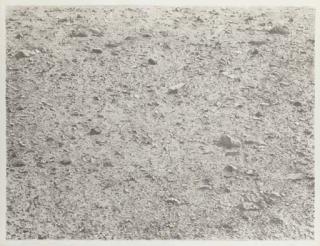 Vija Celmins - Untitled (Desert)
