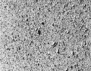 Vija Celmins - Untitled (Desert)