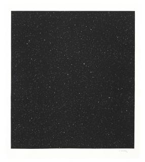 Vija Celmins - Untitled (Large Night Sky)
