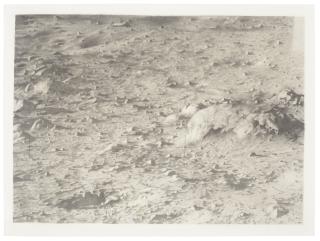 Vija Celmins - Untitled (Moon Image)