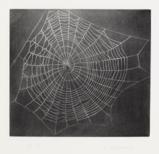 Vija Celmins - Untitled (Web 1), from The MOCA Portfolio