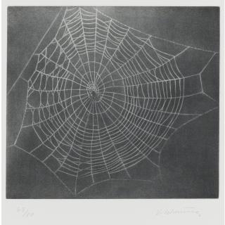 Vija Celmins - Untitled (Web 1)