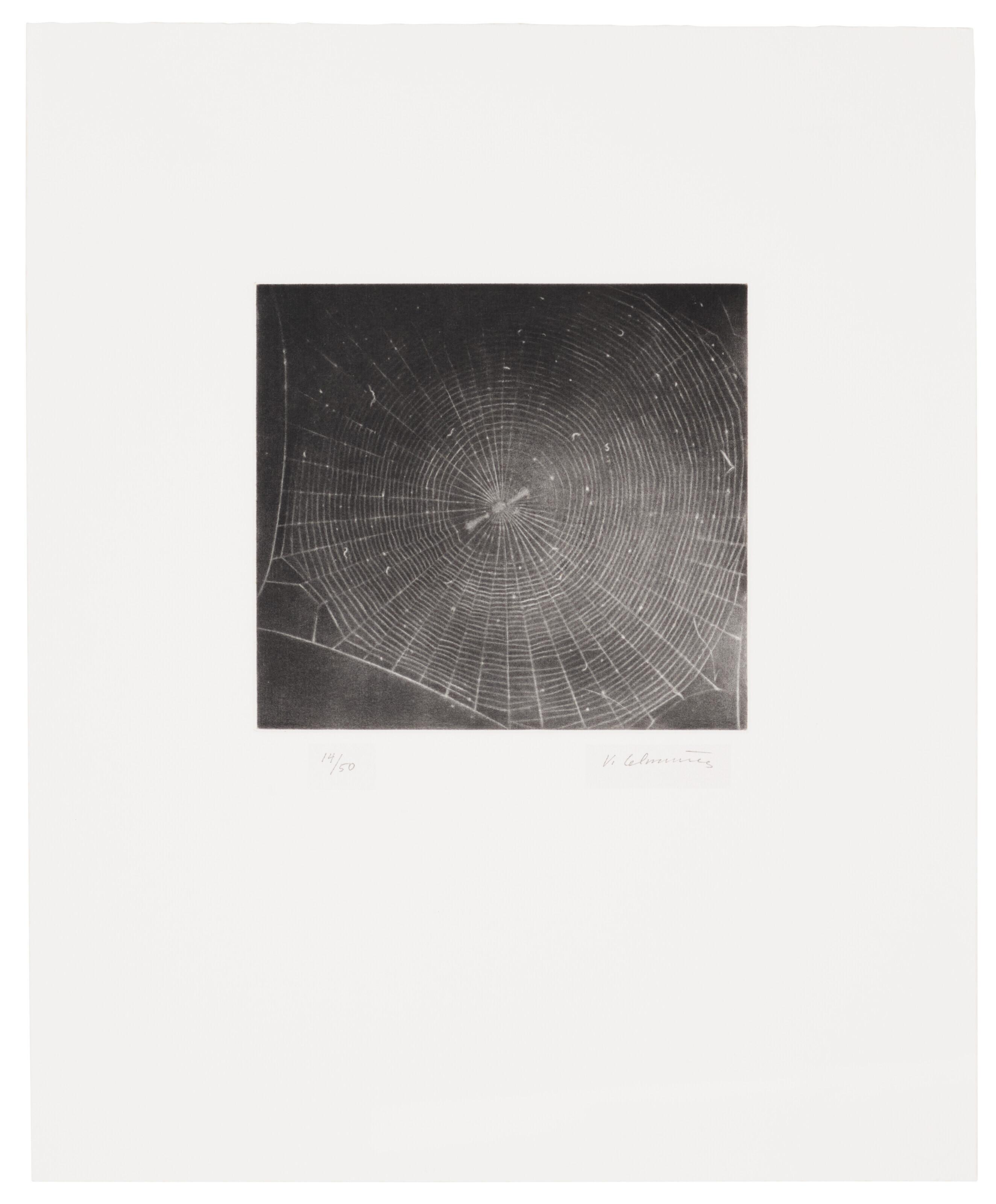 Vija Celmins - Untitled (Web 2)
