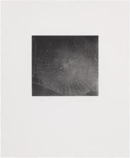 Vija Celmins - Untitled (Web 2)