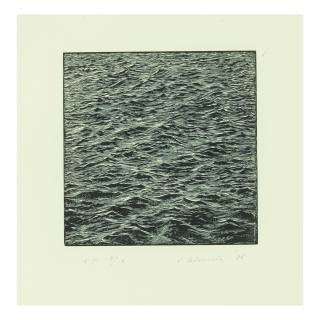 Vija Celmins - Untitled