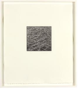 Vija Celmins - Untitled