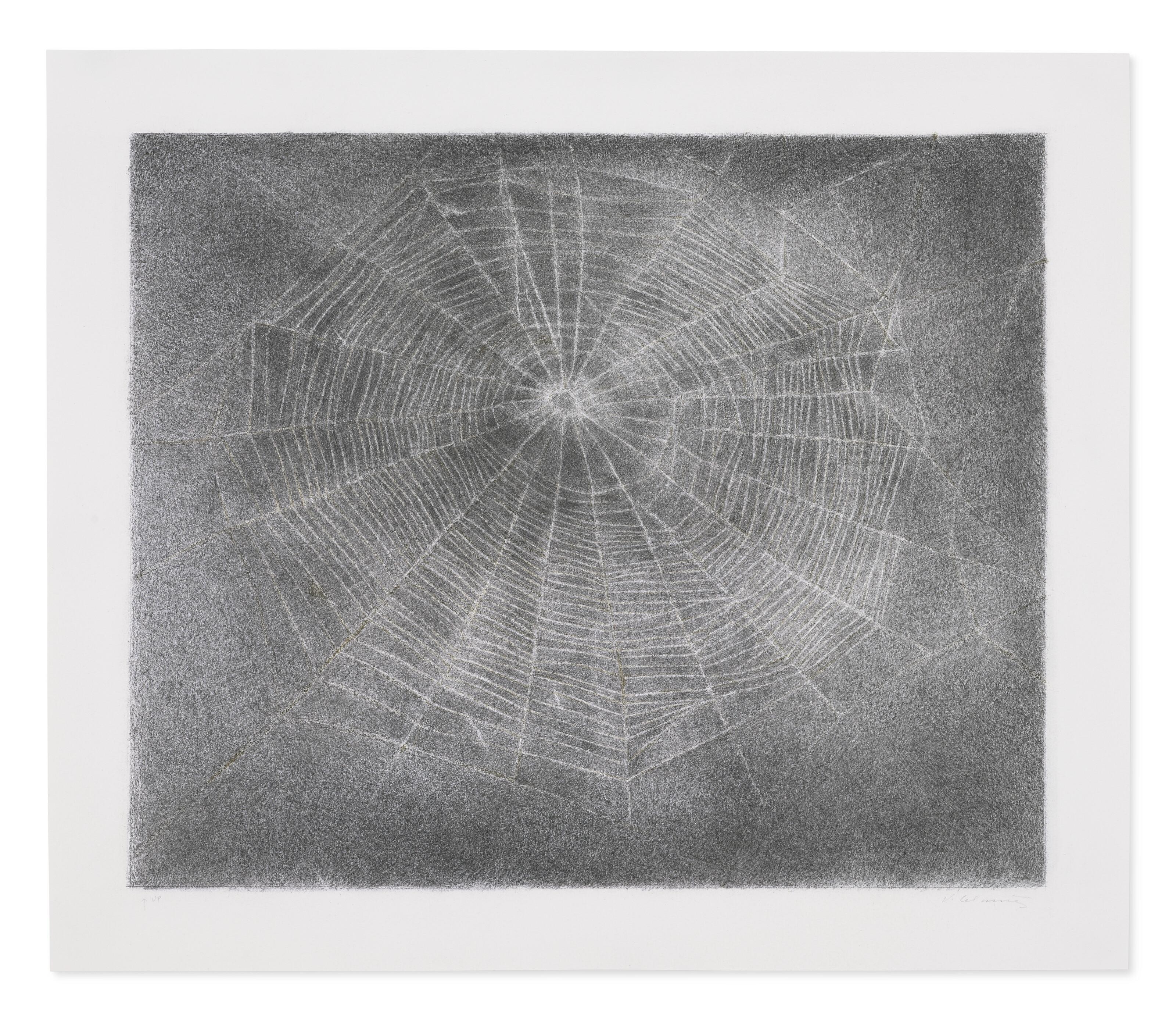 Vija Celmins - Web #10