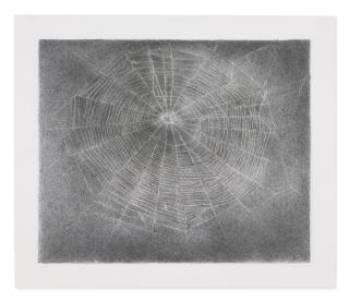 Vija Celmins - Web #10