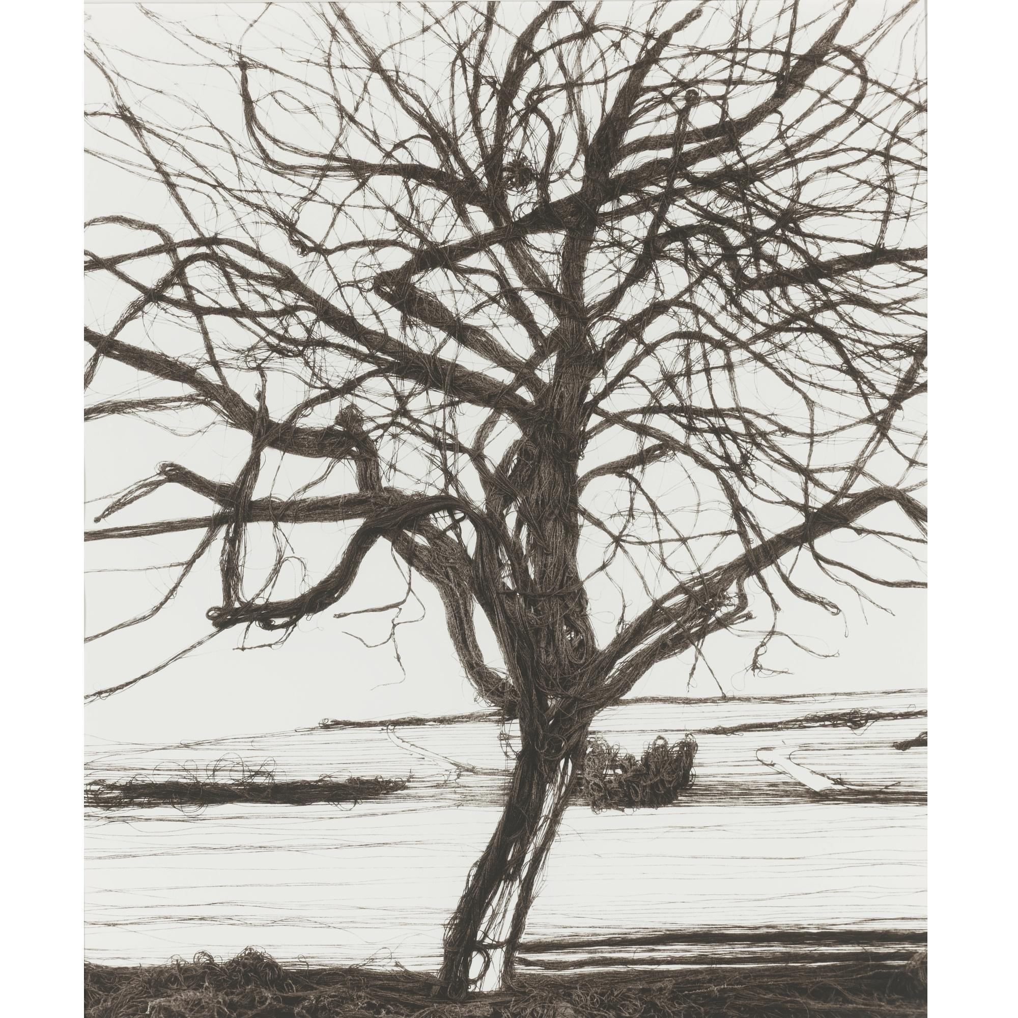 200 Yards (The Apple Tree, After Atget From Pictures Of Thread Series ...