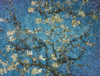 Vik Muniz - Almond Blossoms