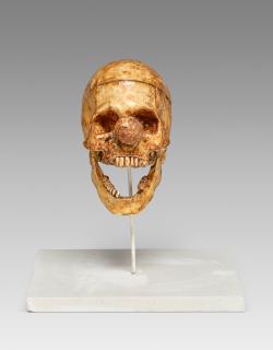 Vik Muniz - Clown Skull