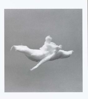 Vik Muniz - Equivalent (Rower)