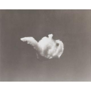 Vik Muniz - Equivalents (Teapot)