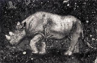 Vik Muniz - Fossil (From Pictures of Soil)