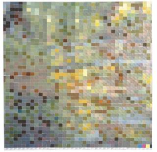 Vik Muniz - Giverny, After Monet #1 (From Pictures of Color)
