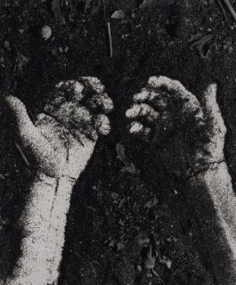 Vik Muniz - Hands (from Pictures of Dirt), 1997