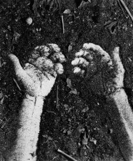 Vik Muniz - Hands, from the series Pictures of Soil
