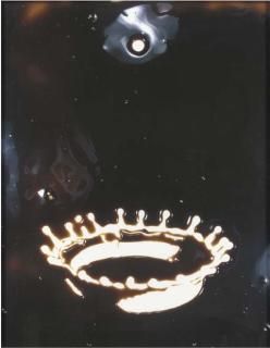 Vik Muniz - Milk Drop (After Dr. Harold Edgerton) (Pictures Of Chocolate)