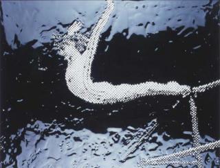 Vik Muniz - Nadia Comaneci (Pictures of Ink)