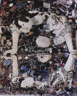 Vik Muniz - Narcissus After Caravaggio