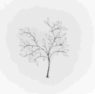 Vik Muniz - Small branch with large thorns