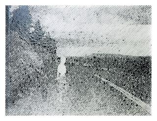 Vik Muniz - Still, After Cindy Sherman (From Pictures Of Ink)