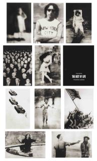 Vik Muniz - The Best of Life