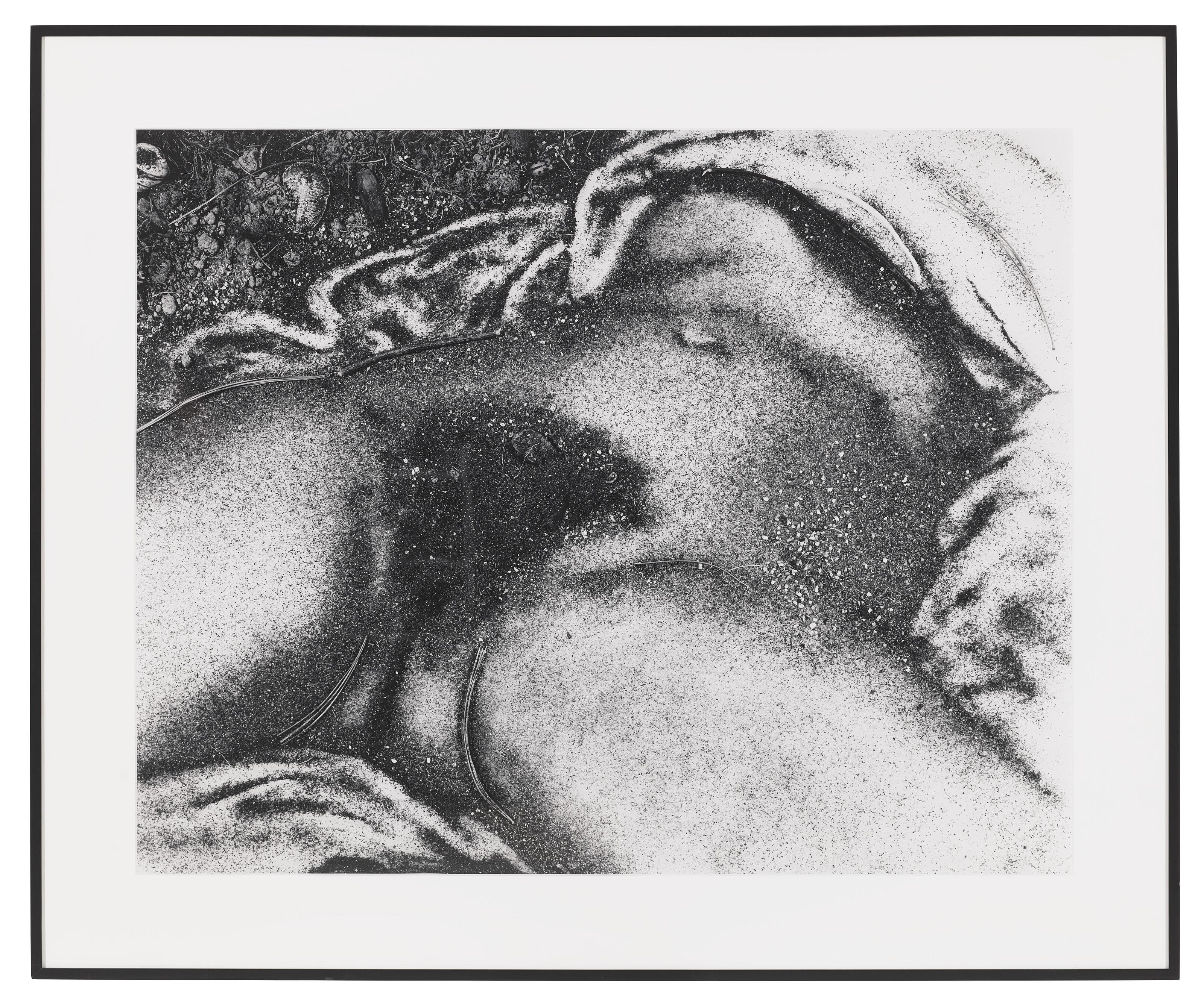 Vik Muniz - The Origin of the World (After Courbet) from Pictures of Soil, 1999