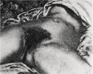 Vik Muniz - The Origin of the World (After Courbet) (from Pictures of Soil)