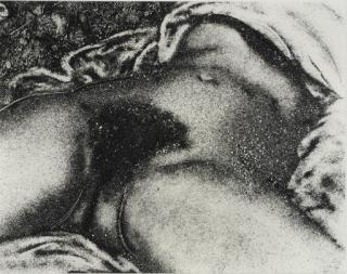 Vik Muniz - The Origin of the World, after Courbet (from Pictures of Soil)