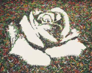 Vik Muniz - The White Rose (From The Monad Series)