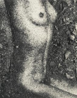 Vik Muniz - \'Torso\' (After František Drtikol, From Pictures Of Soil)