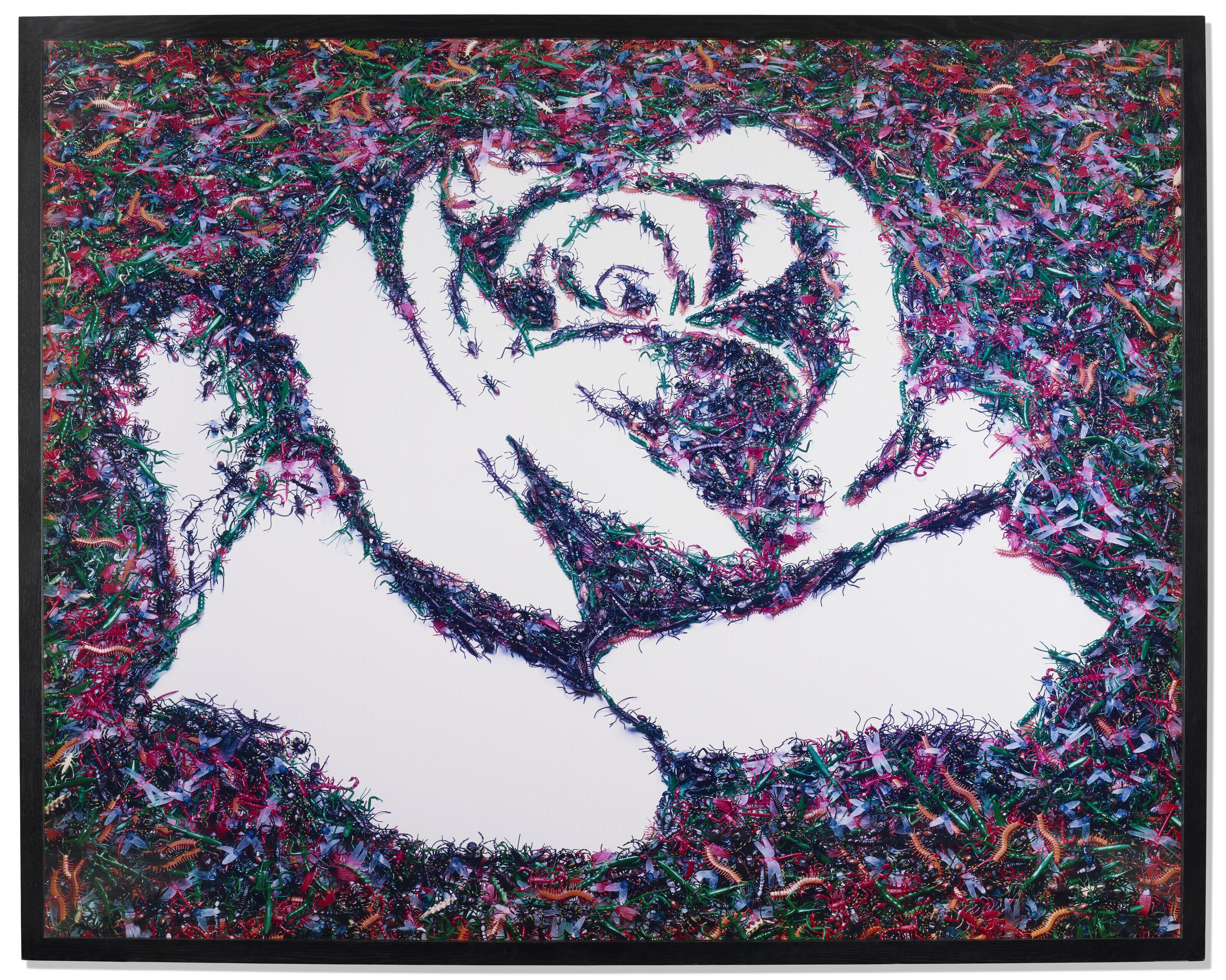Vik Muniz - White Rose (from the Monad Series)