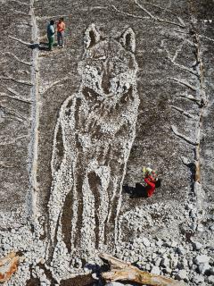 Vik Muniz - Wolf