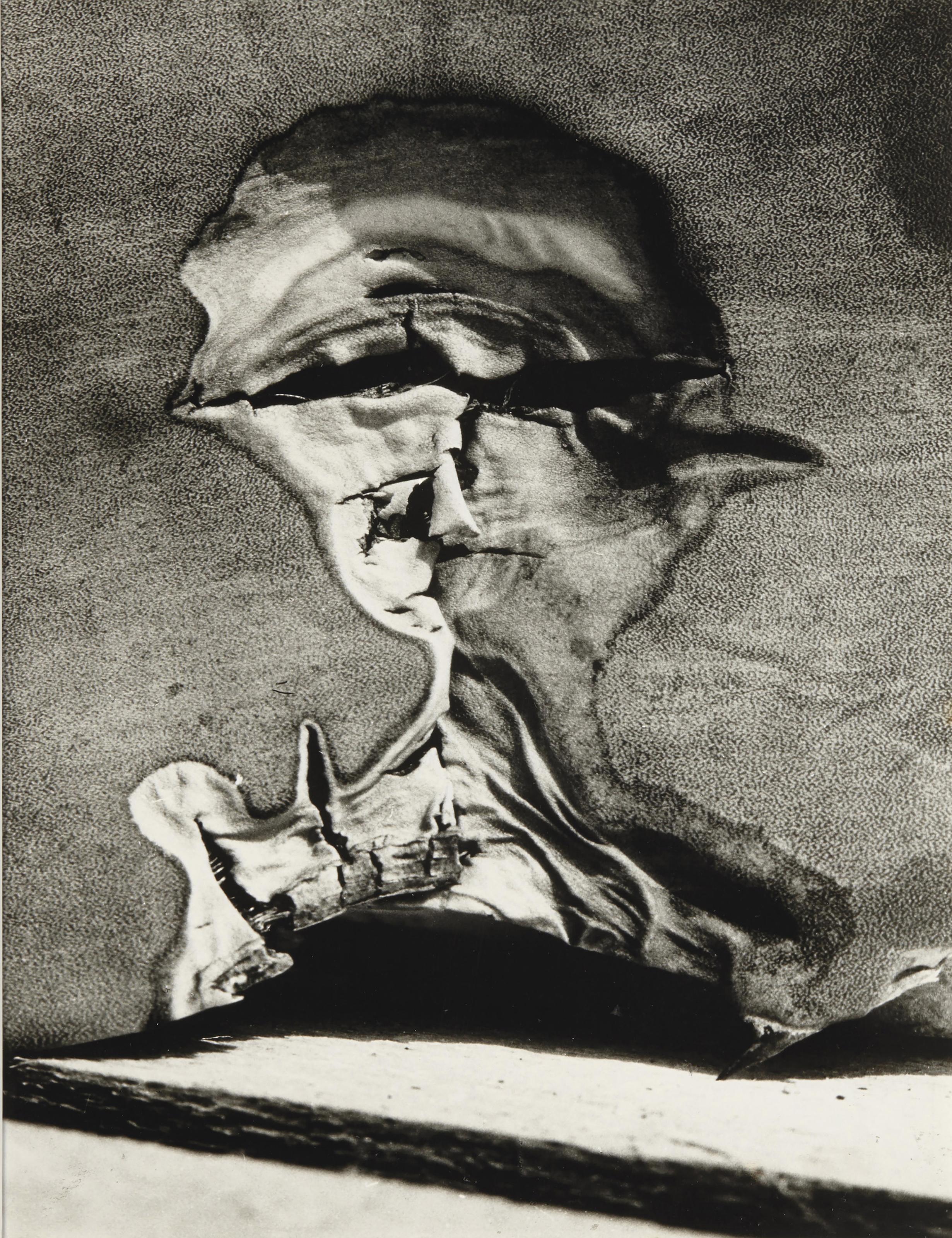 Vilem Reichmann - Hlaváč, from the cycle \'Agave\', 1974