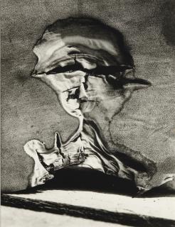 Vilem Reichmann - Hlaváč, from the cycle \'Agave\', 1974