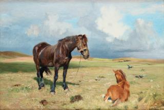 Vilhelm Theodor Fischer - Horses on a field