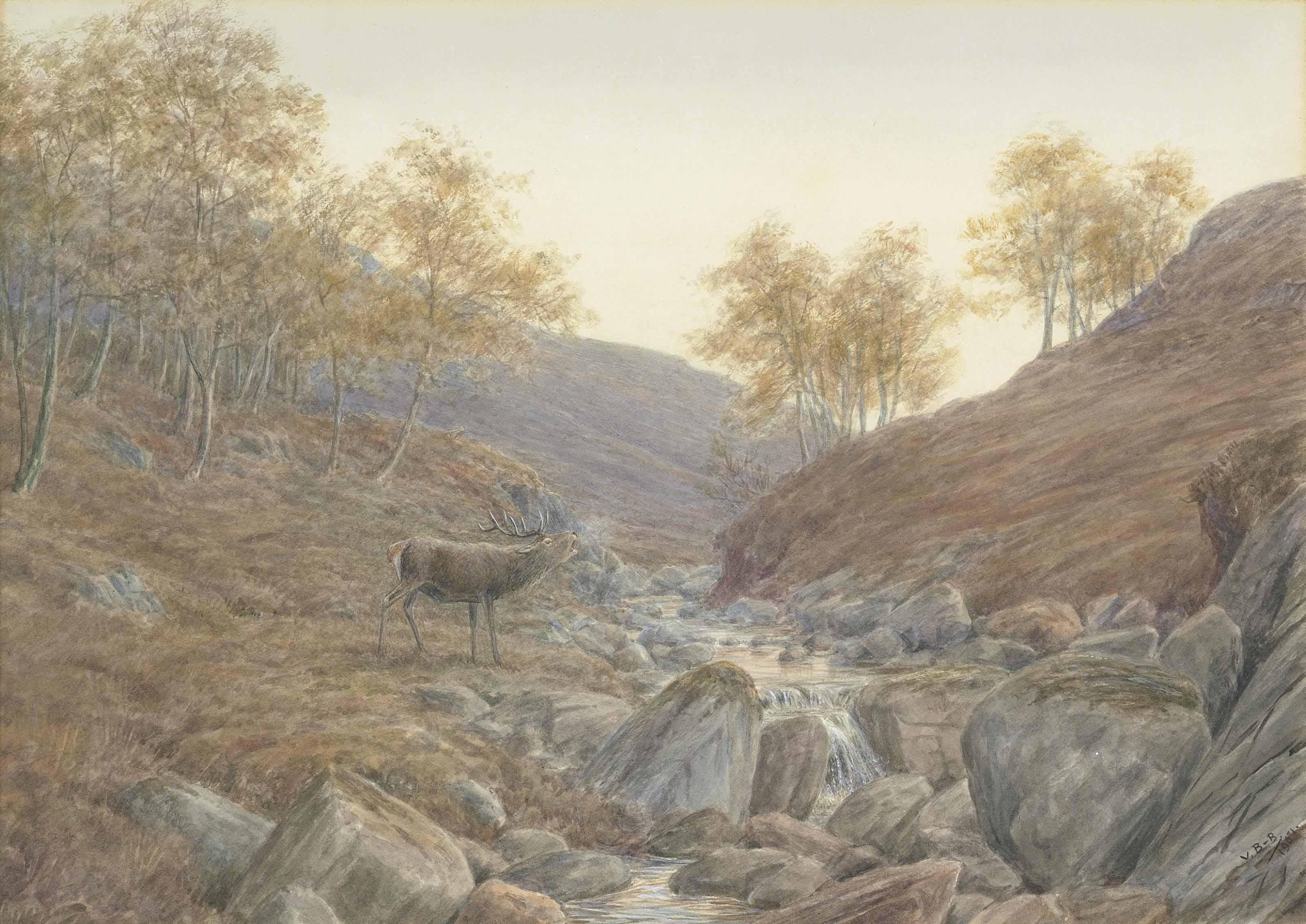 Vincent Balfour Brown - A Stag Roaring, At The End Of The Birchwood