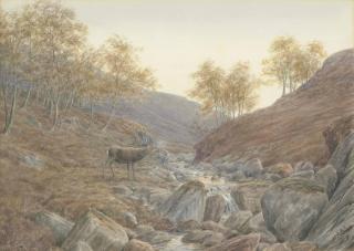 Vincent Balfour Brown - A Stag Roaring, At The End Of The Birchwood