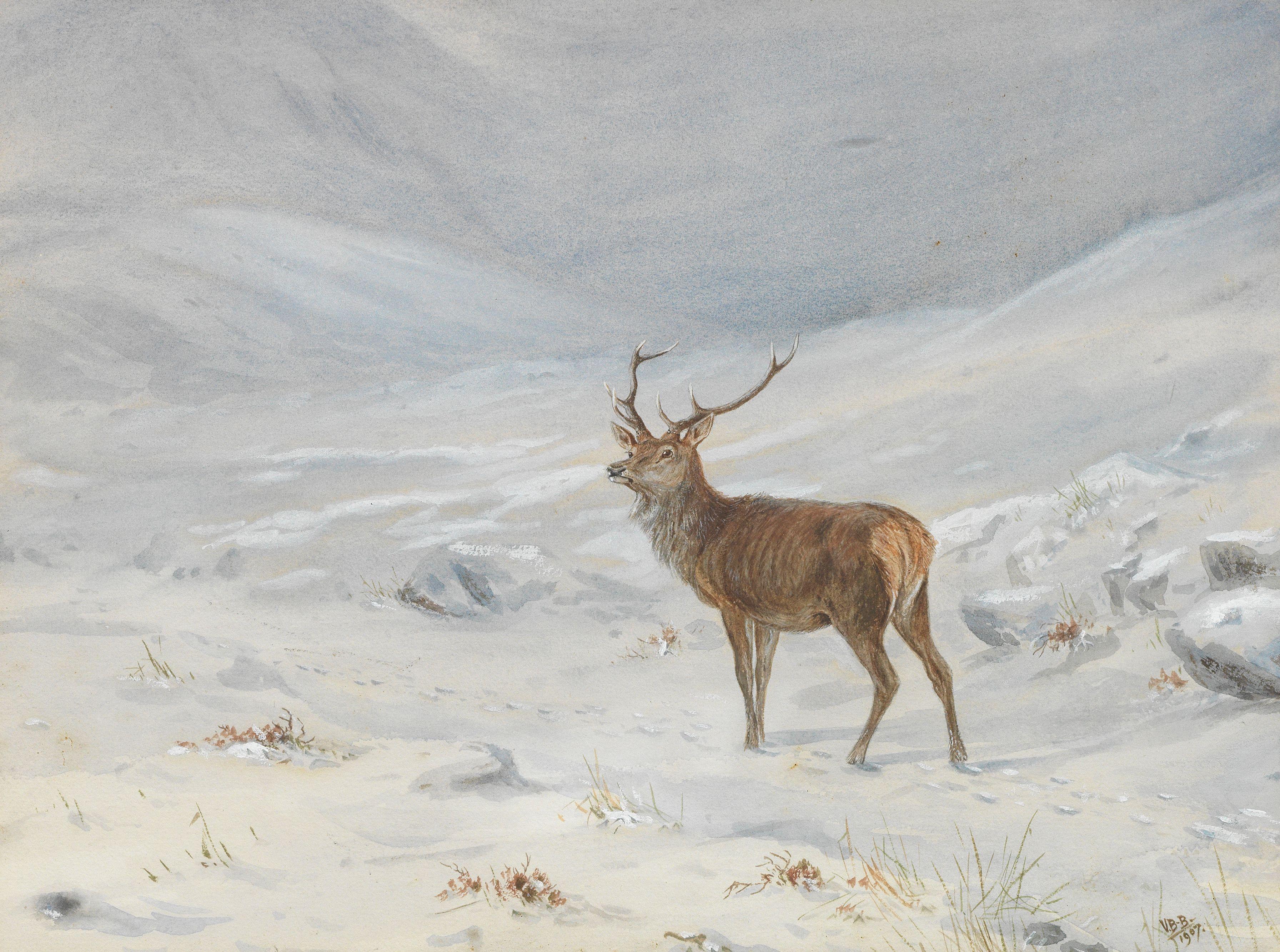 Vincent Balfour-Browne - Highland Stag in Winter Landscape