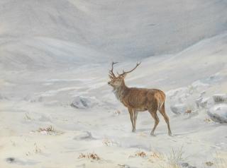 Vincent Balfour-Browne - Highland Stag in Winter Landscape