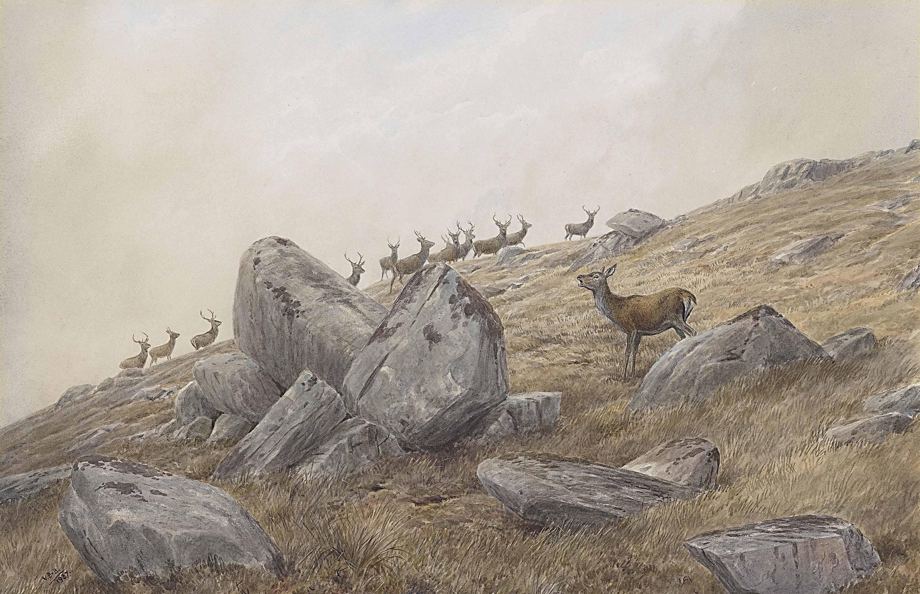 Vincent Balfour Browne - \'That\'S Torn It\'