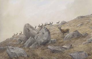 Vincent Balfour Browne - \'That\'S Torn It\'