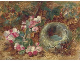 Vincent Clare - Apple Blossom And A Bird\'S Nest On A Mossy Bank