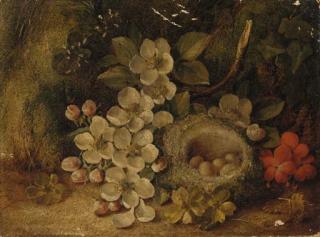 Vincent Clare - Apple blossom and a bird\'s nest with eggs, on a mossy bank