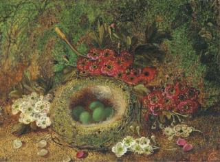Vincent Clare - Apple blossom and a bird\'s nest with eggs