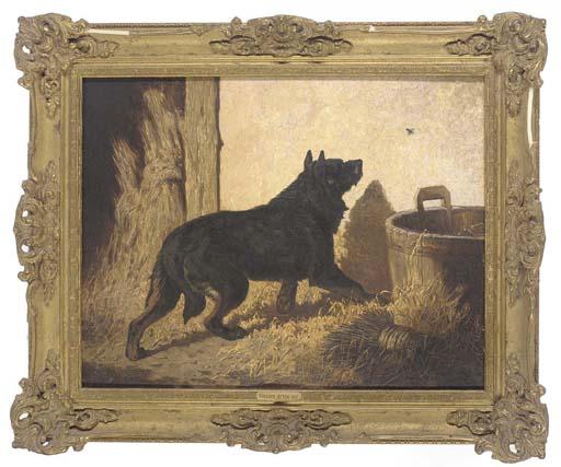 Vincent de Vos - An unwelcome intruder